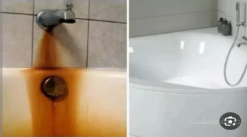 يعود كأنه جديد.. أسرع طريقة لتنظيف البانيو والحمام من الاصفرار والجير المتراكم 1